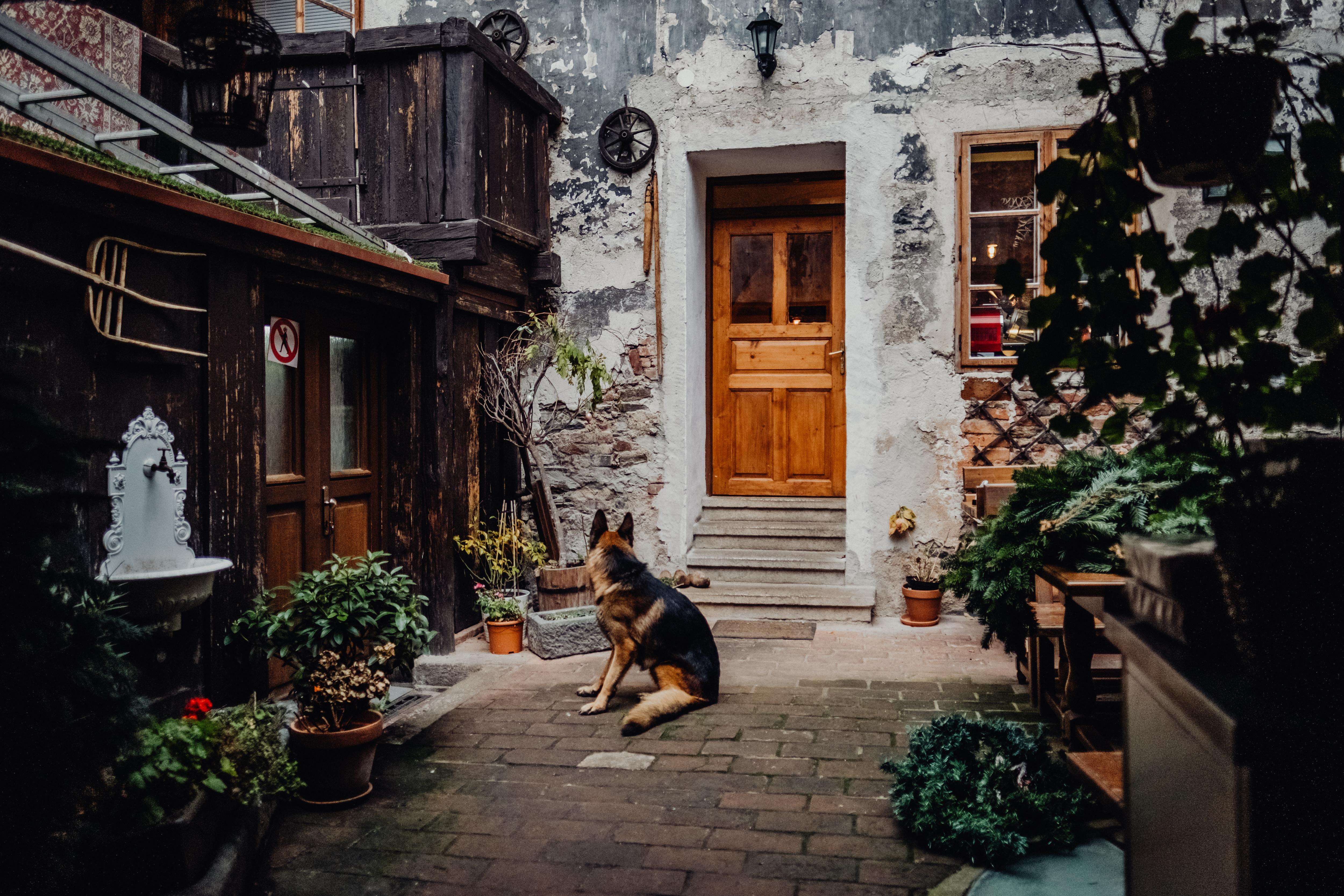 Krumlovska Pohadka Český Krumlov Exterior foto